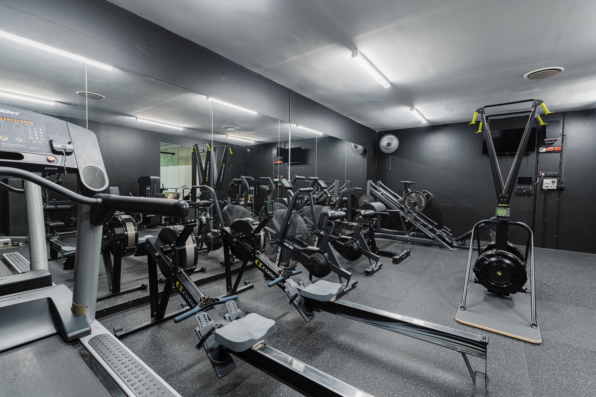 Wide view of Habitat Gym’s cardio area with treadmills, bikes, SkiErgs and rowers